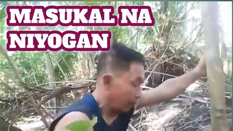Pinasok ang makatas na kepyas .